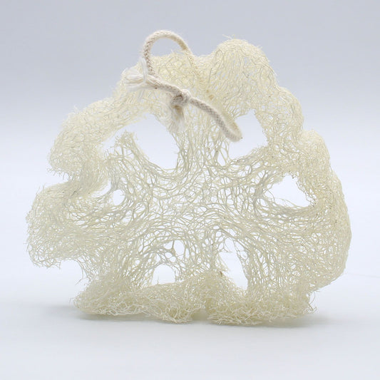 Egyptian Luxury Loofah with Cotton String - Non-Compressed - 2cm